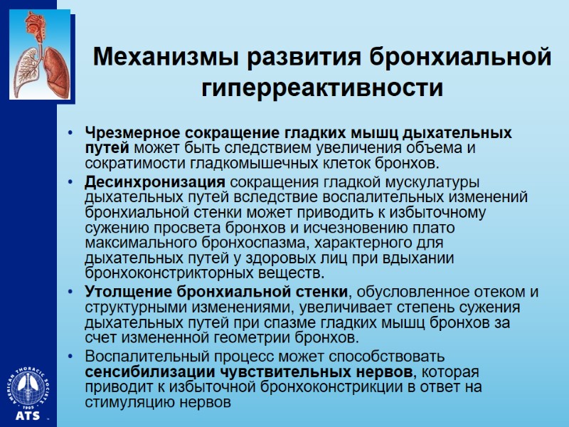 Механизмы развития бронхиальной гиперреактивности Чрезмерное сокращение гладких мышц дыхательных путей может быть следствием увеличения